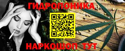 индика Комсомольск-на-Амуре