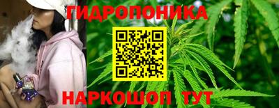 твердый Краснодар