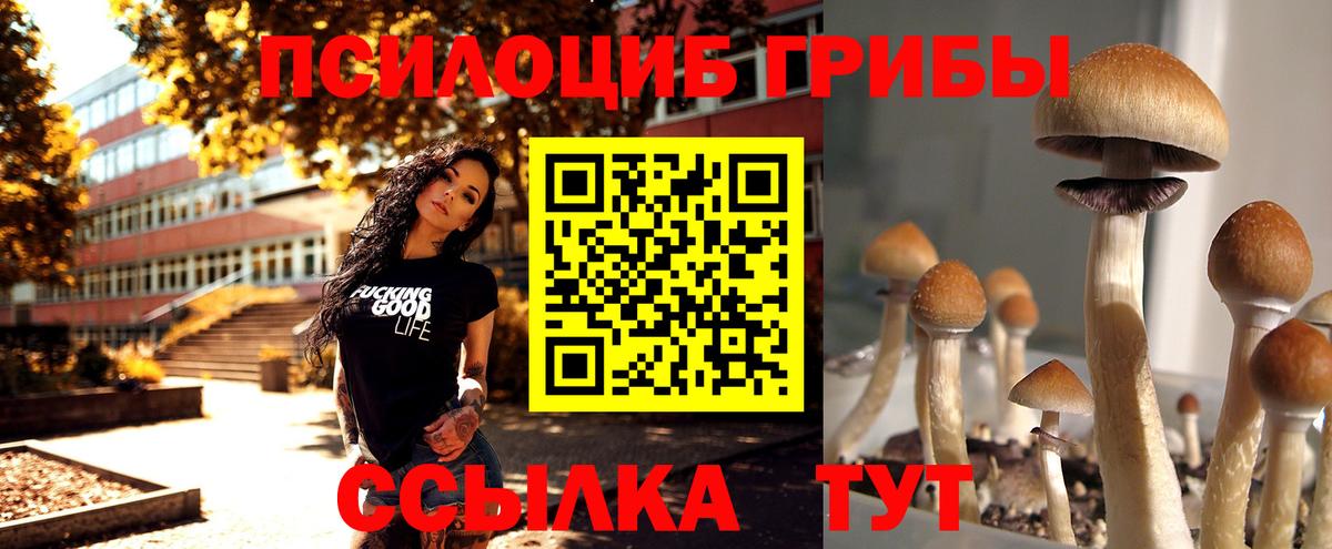 Псилоцибиновые грибы ЛСД Карпинск